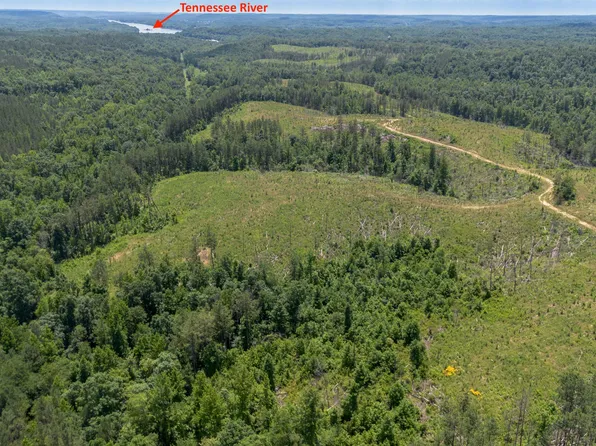 Bunches Chapel Rd, Parsons, TN 38363