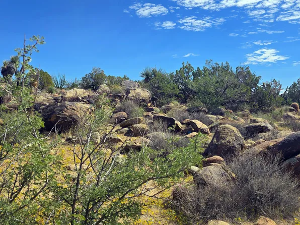 8375 E Cholla Dr, Yucca, AZ 86438
