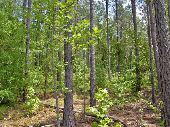 F G F Ball Rd Lot F, Louisburg, NC 27549