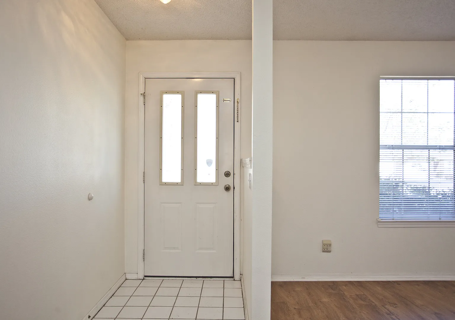 58 B Holly — Photo 4