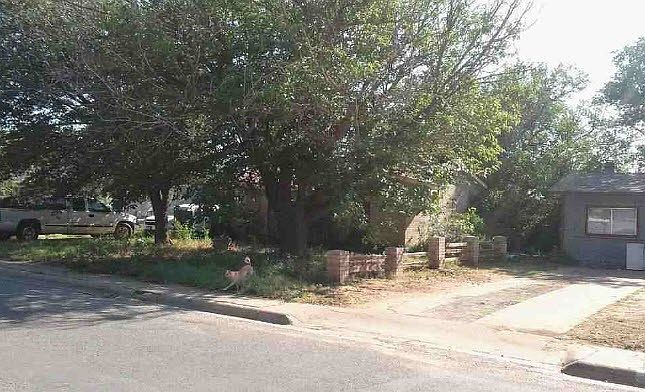 2nd image of 3806 Avenue V