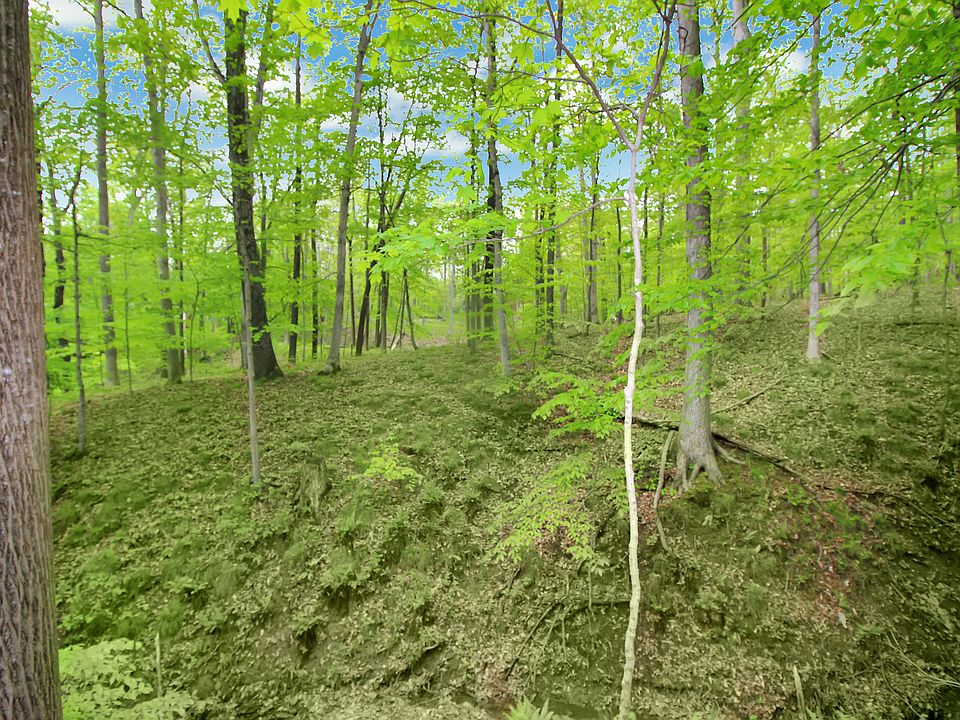 2nd image of 10551 Owl Hollow Rd