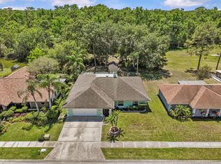 28628 Twinbrook Ln, Zephyrhills, FL 33543
