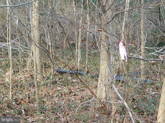 4th image of 30871 E Line Rd