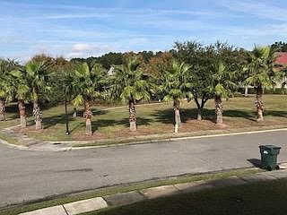 Beautiful neighborhood