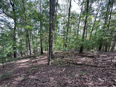 37 Mountain Creek Hollow Dr, Talking Rock, GA, 30175