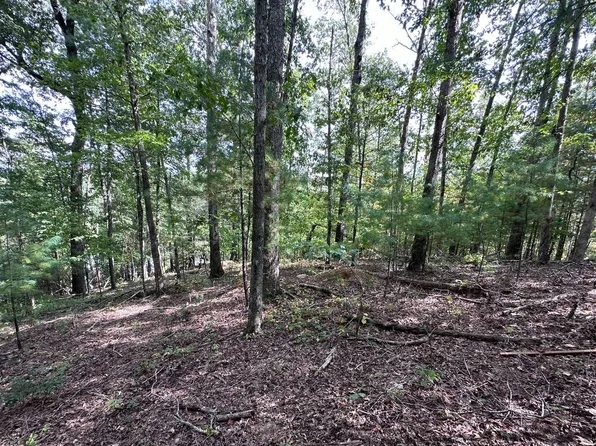 37 Mountain Creek Hollow Dr, Talking Rock, GA 30175