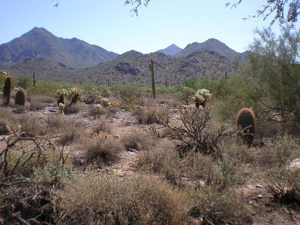 1st image of 10127 E HUALAPAI Drive #2914