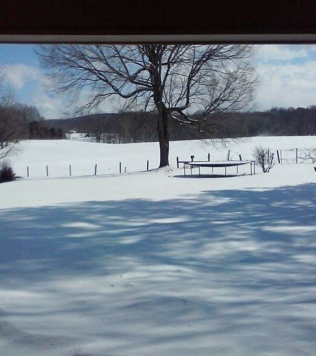 This could be your view soon