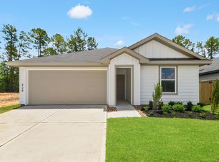 228 Golden Eagle Blvd, New Waverly, TX 77358