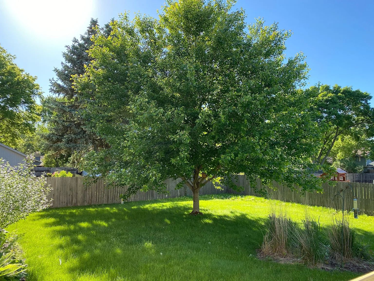 10509 Ricardo Road - 1 — Photo 3