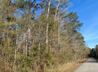 49 Shelton Pearson Rd, Picayune, MS 39466