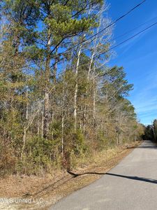 49 Shelton Pearson Rd, Picayune, MS, 39466