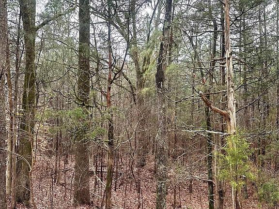 3rd image of 1178 Great Falls Hwy #3
