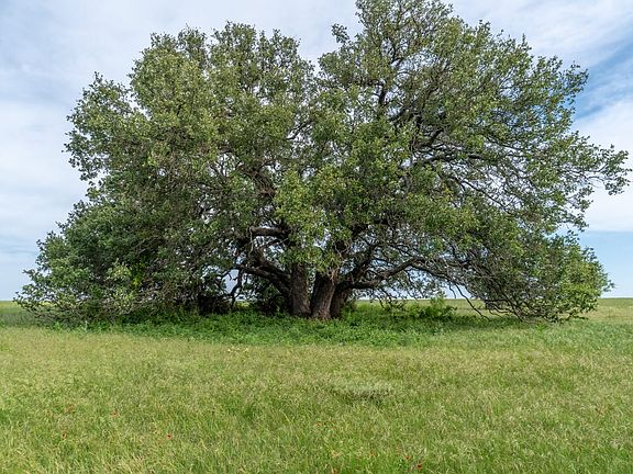 Texas Ranch in Comanche County Near Dublin, De Leon, & Comyn Texas Land