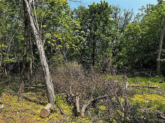 5th image of 5867 Transit Rd E Lot 24