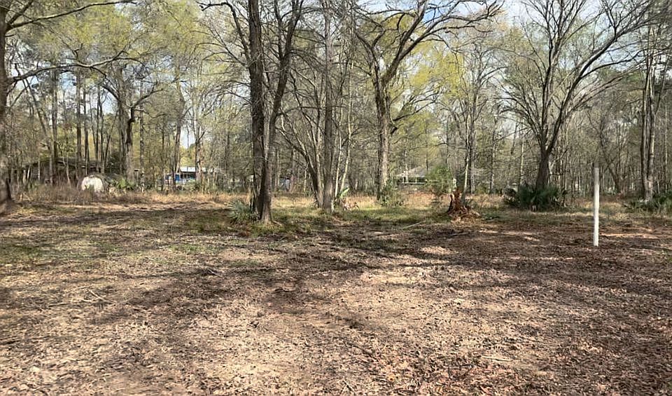 2nd image of 256 Blue Lake Dr