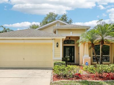 10150 Heather Sound Dr, Tampa, FL, 33647