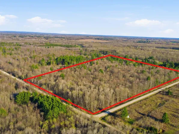 123 E Beyer Rd, Free Soil, MI 49411