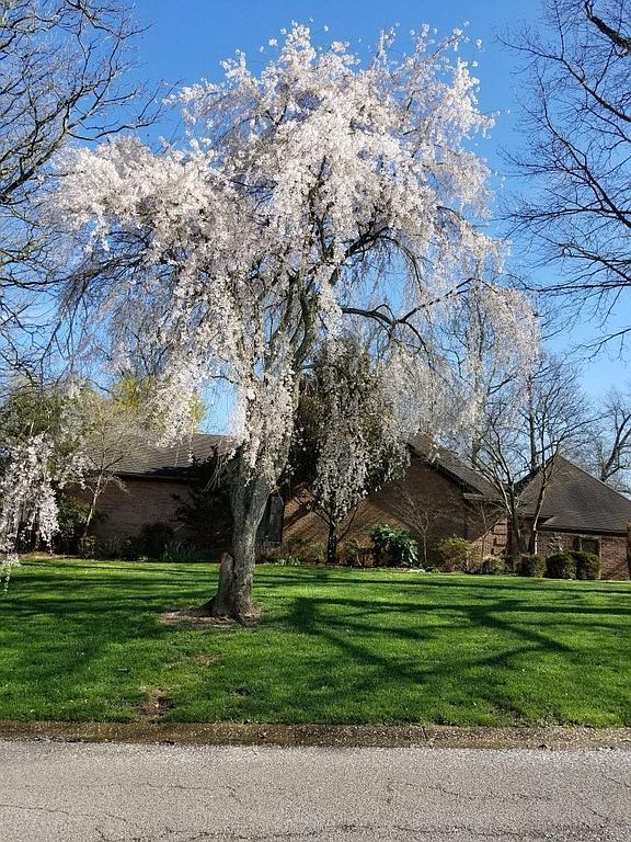 332 Golf Cart Dr - Property Image