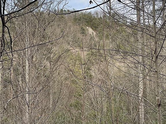 5th image of 55 Boone Cove Rd #71