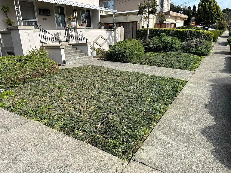 1238 Liberty St — Photo 3