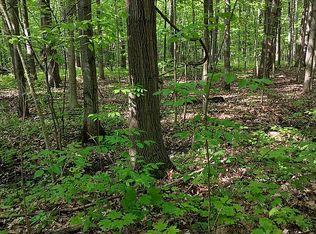 LOT 38 Oakview Dr, Swartz Creek, MI 48473