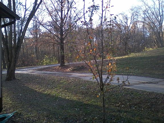 Driveway view from recr. rm.