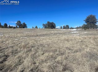 1091 Julia Rd, Guffey, CO 80820