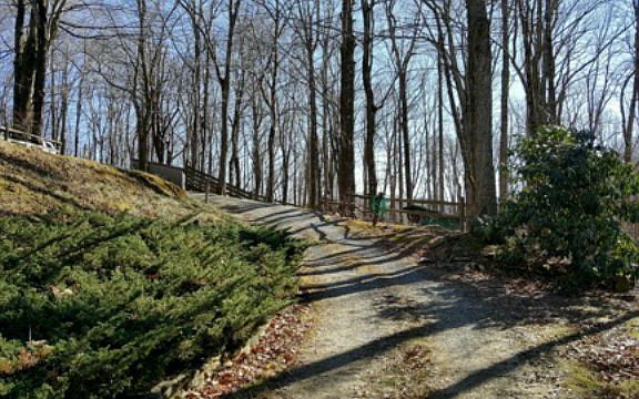 2nd image of 161 Grandfather Knolls Dr