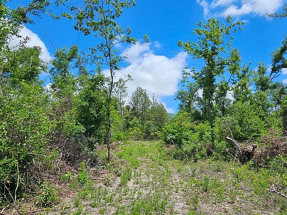 4th image of Tbd 237th Rd