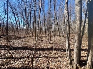 0 W Jos R Chafer Rd, Couderay, WI 54828