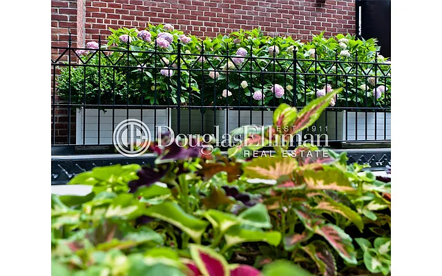 Sold by Douglas Elliman | media 27