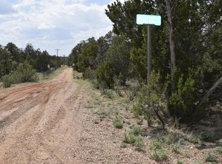 3338 N Rustic Ct, Overgaard, AZ 85933