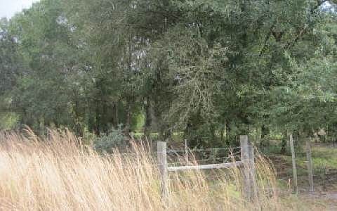 2nd image of 1357 Bagwell Dr