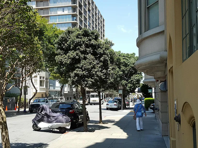 Picturesque and fashionable Nob Hill neighborhood