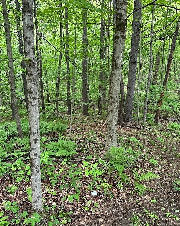 1st image of 0 S Royalston Rd