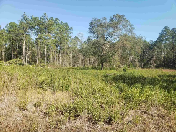 10690 Erickson Ave, Hastings, FL 32145