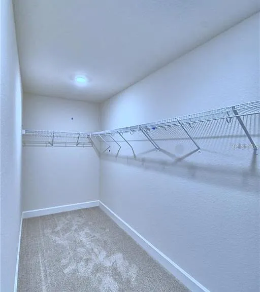 906 Sofia Ln — Photo 31