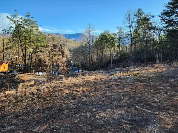 53 Dakota Way Off, Bryson City, NC 28713