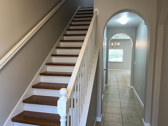 5th image of 3812 Black Spruce Ln