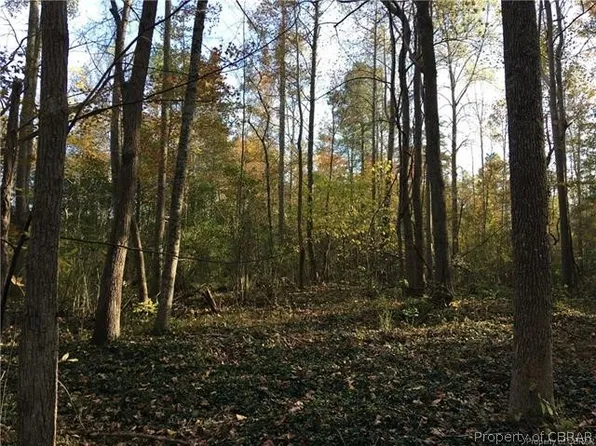 0 E Hickory Neck Rd, Saluda, VA 23149