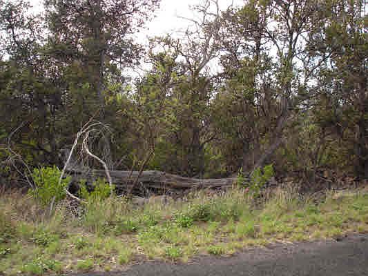 1st image of Sea Breeze Pkwy Lot 5