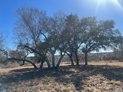 2 Zinfandel LOT 24A-1, Comfort, TX, 78013