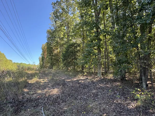 0 Highway 100, Centerville, TN 37033