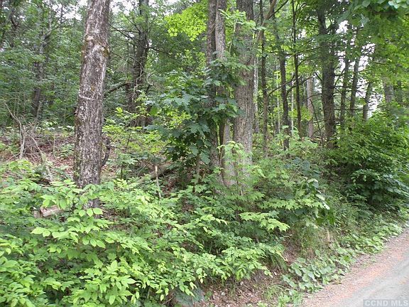 4th image of 0 Frenchs  Hill Road