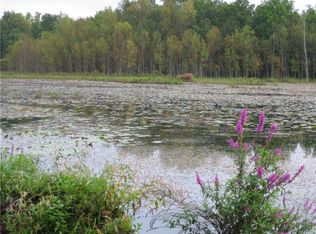 7310 Laraway Rd, Cayuga, NY 13034