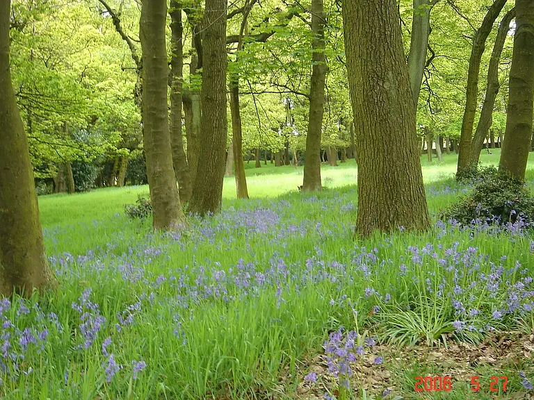 Beautiful Grounds