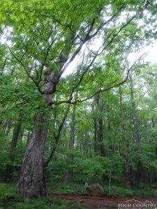 Tbd Proffit Rd, Boone, NC, 28607