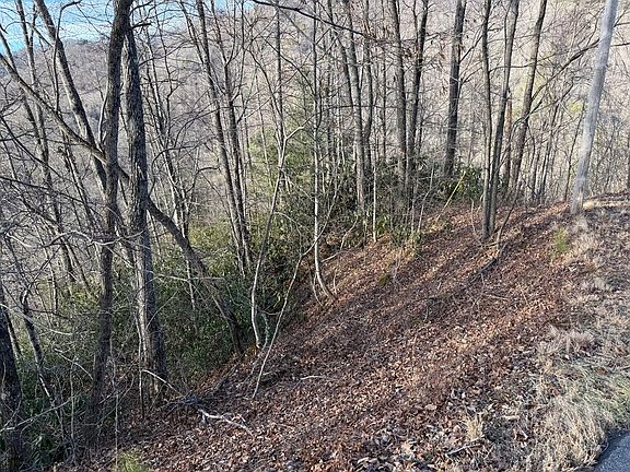 3rd image of LOT 38 Alarka Rd